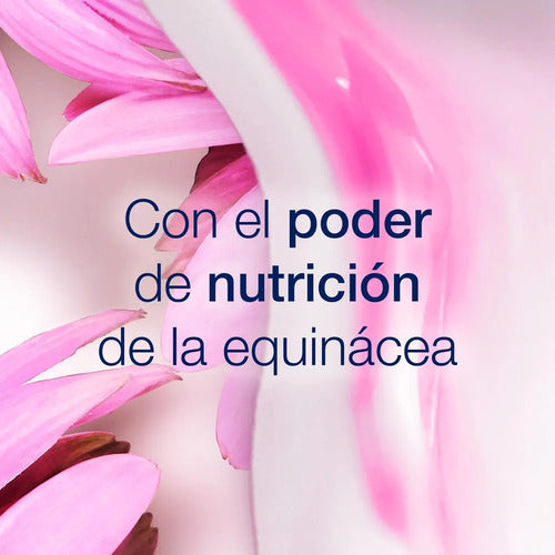 Dove Shampoo Ritual Crecimiento Equinacea x 400ml · 17708 · foto 06