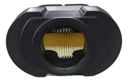Filtro De Aire Apto Para Motores Briggs
