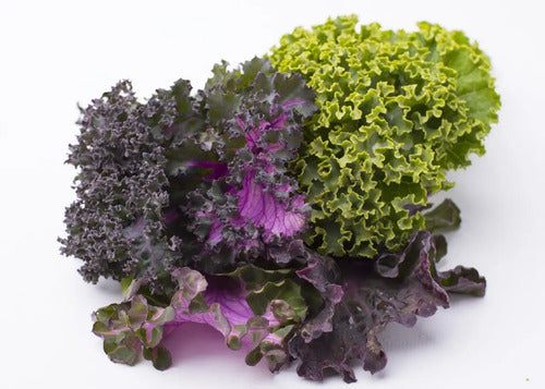 Combo De Semillas De Kale - 5 Variedades - Huerta