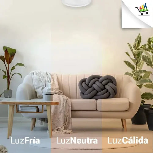 Plafón Led Werke Aplicar 12w Blanco Frío Acero Montaje En Techo