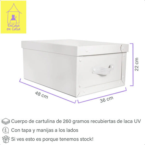 Caja Baulera Grande Organizadora Con Tapa Y Manijas Baulera Grande