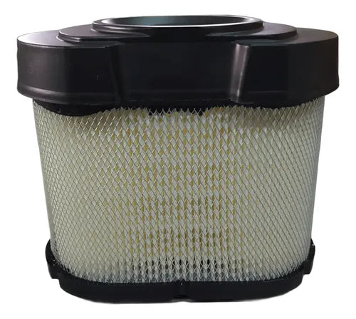 Filtro De Aire Apto Para Motores Briggs