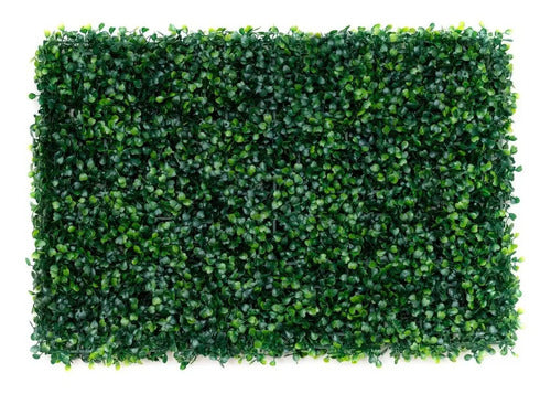 Jardin Vertical Artificial De Cesped Para Pared Planta Inter