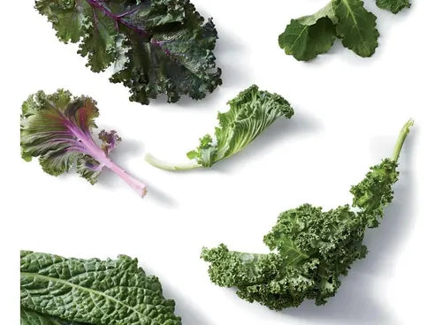 Combo De Semillas De Kale - 5 Variedades - Huerta