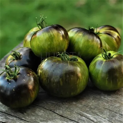Semillas Tomate Xanadu Green! Negro Y Verde! Exquisito Sabor