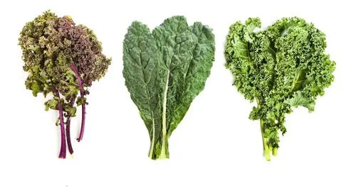 Combo De Semillas De Kale - 5 Variedades - Huerta