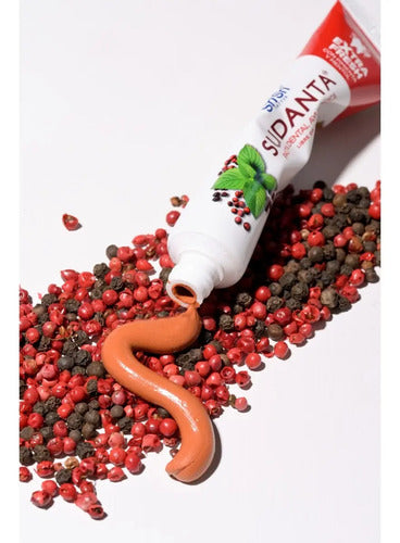 Pasta Dental Sudanta Extra Fresh con Ayurvédica de Mentol 100 G · 17624 · foto 07