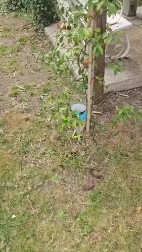 10 X Estaca Riego Automático Goteo Botella Ajustable