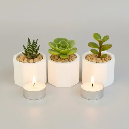 Macetas De Yeso Octogonal Souvenir Velas Deco Home Suculenta