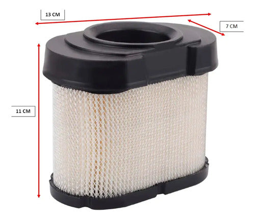 Filtro De Aire Apto Para Motores Briggs