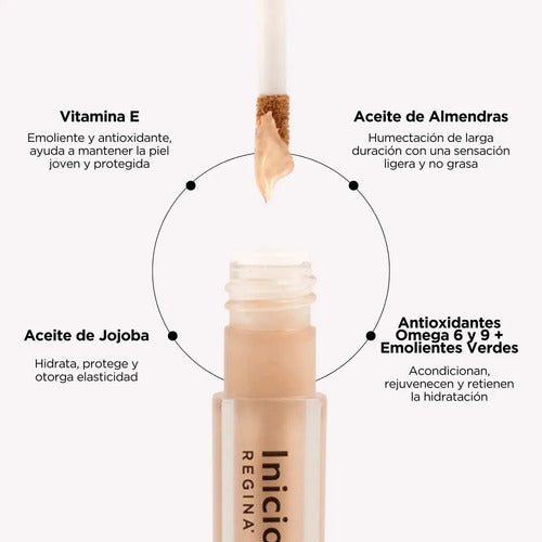 Corrector Regina Make Up Tono 10 3.5g 10