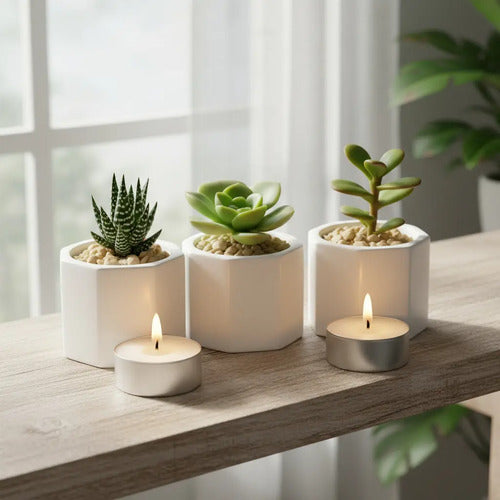 Macetas De Yeso Octogonal Souvenir Velas Deco Home Suculenta