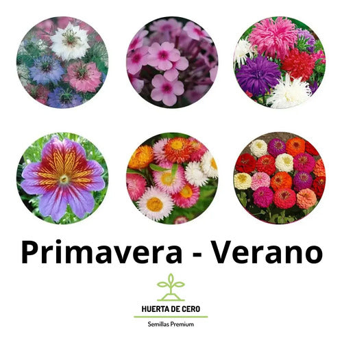 Combo Semillas Flores Para Todo El Año - 30 Paquetes