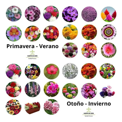 Combo Semillas Flores Para Todo El Año - 30 Paquetes
