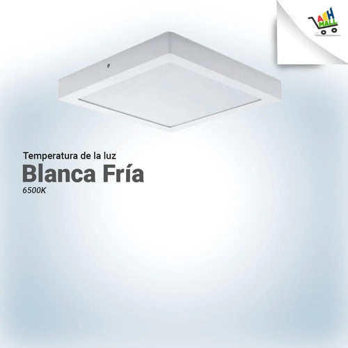 Plafón Led Werke Aplicar 12w Blanco Frío Acero Montaje En Techo