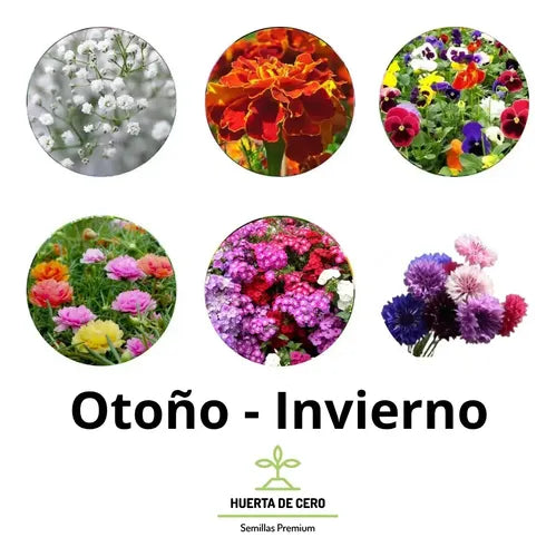 Combo Semillas Flores Para Todo El Año - 30 Paquetes