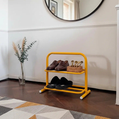 Zapatero Organizador Mueble Botinero Individual Hierr Zapato