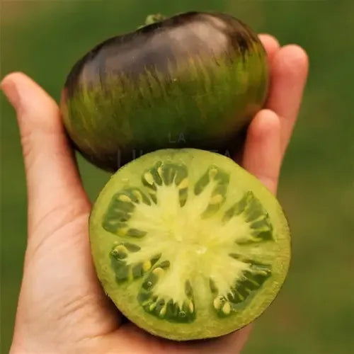 Semillas Tomate Xanadu Green! Negro Y Verde! Exquisito Sabor