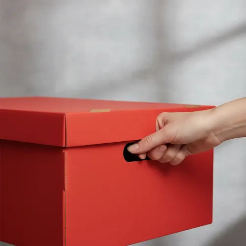 Set Cajas Organizadoras Gs Microbox X10u Rojo Caja Mediana