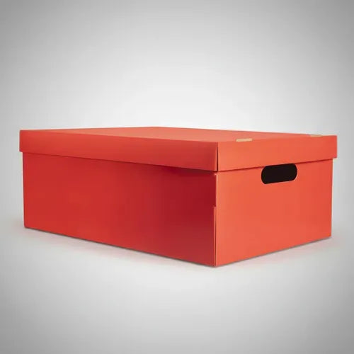 Set Cajas Organizadoras Gs Microbox X10u Rojo Caja Mediana