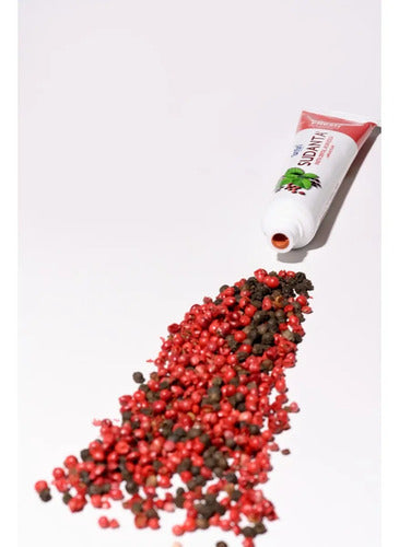 Pasta Dental Sudanta Extra Fresh con Ayurvédica de Mentol 100 G · 17624 · foto 06