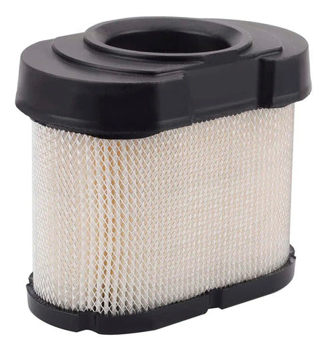 Filtro De Aire Apto Para Motores Briggs