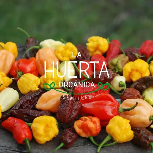 Semillas Agroecológicas Ajíes Picantes Tradicionales Y Exóti