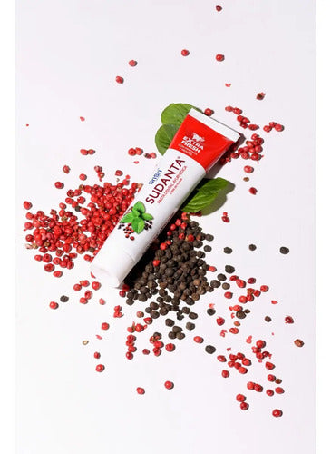 Pasta Dental Sudanta Extra Fresh con Ayurvédica de Mentol 100 G · 17624 · foto 05