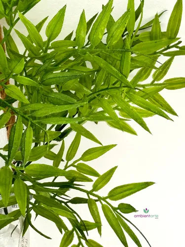 Ramo Bambu - Pasto 40 Cm- Plantas Y Flor