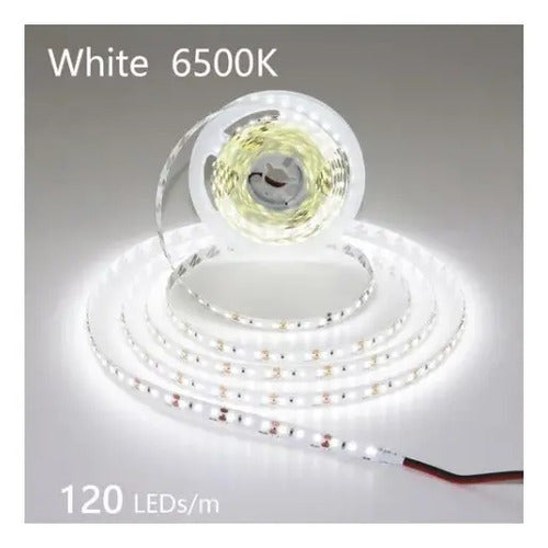 Tira Led 2835 Interior 5m 120led/m 600led No 5050-5630 Color