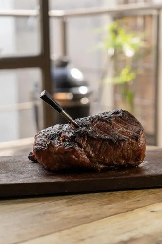 Combo Parrilla Segundo Nivel Baja Nano Termometro Kb10
