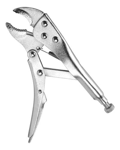 Pinza Presión Will 10 Pulgadas Acero Regulable Punta Firme