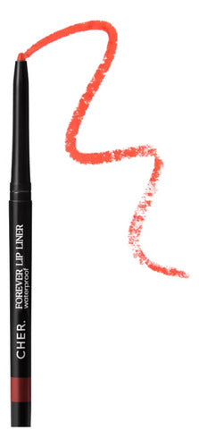 Delineador De Labios Cher Beauty Retráctil Mate Color 02