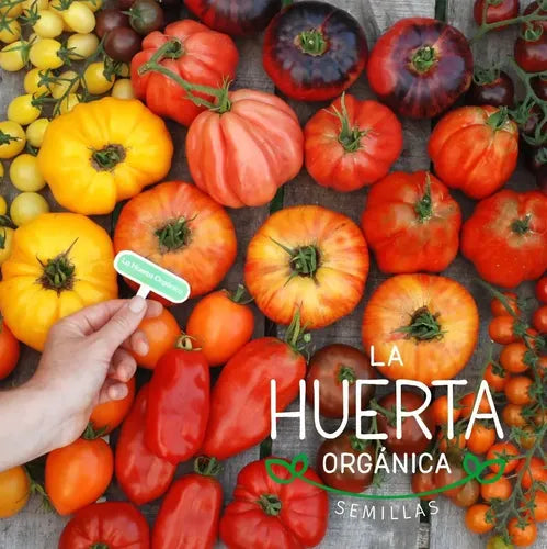 Semillas Agroecológicas Ajíes Picantes Tradicionales Y Exóti