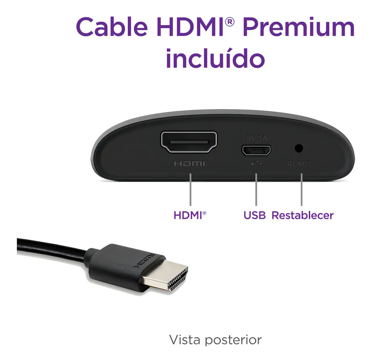 Dispositivo De Streaming Con Control Remoto Roku Express 3960 Hd Negro
