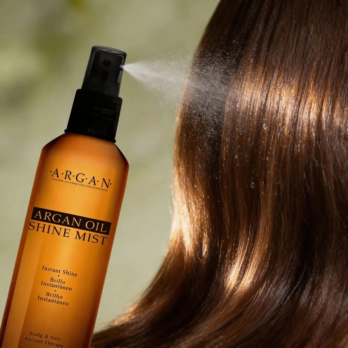 Brillo Instantaneo Fidelite Argan Oil Shine Mist 120Ml