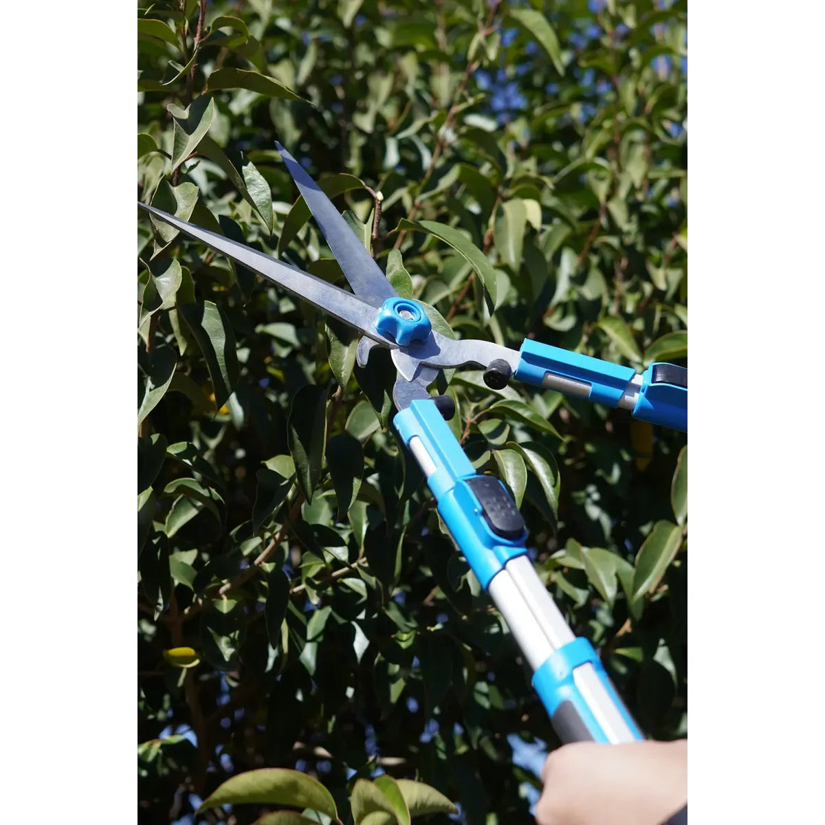 Tijeron Tijera Cortacerco Aluminio Telescopica De 68 A 85 Cm