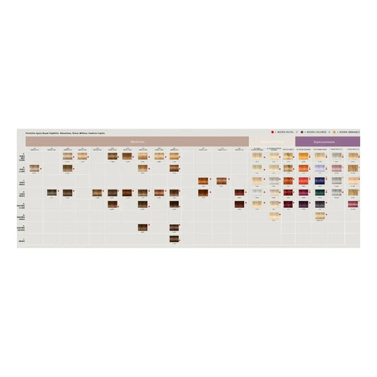 Tintura Igora Royal Coloracion Permanente Schwarzkopf X60gr