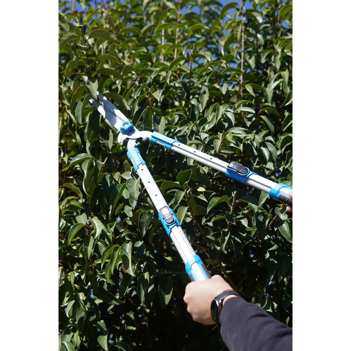Tijeron Tijera Cortacerco Aluminio Telescopica De 68 A 85 Cm